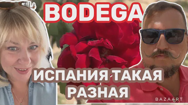 Испания  (2024) Бодега-тайм. Испанские ценности  #испания