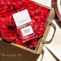 Carner Barcelona Sweet William, 100 ml